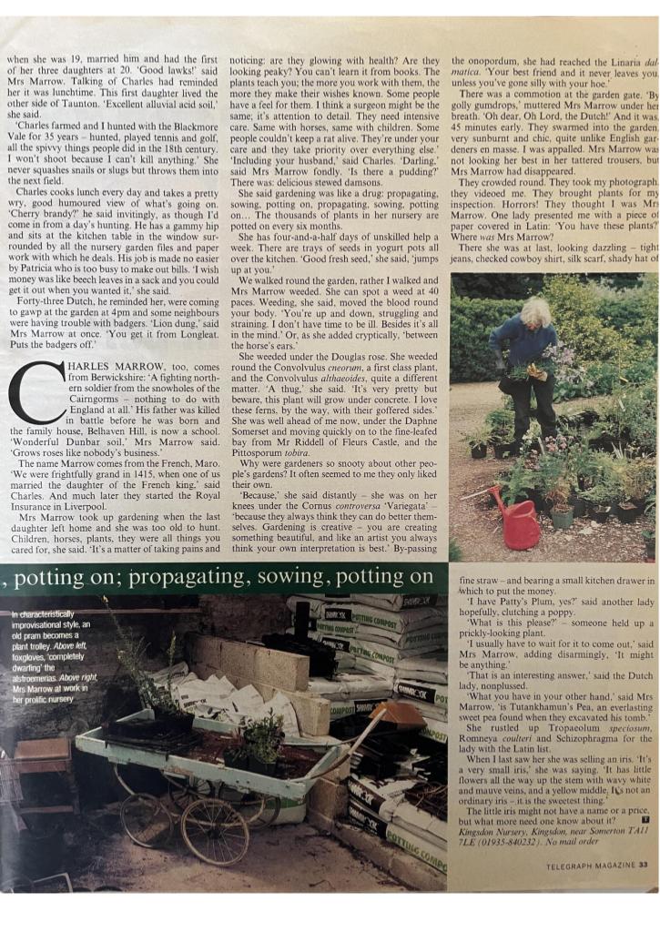 newspapers4 thumbnail